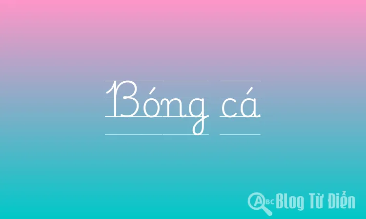 Bóng cá