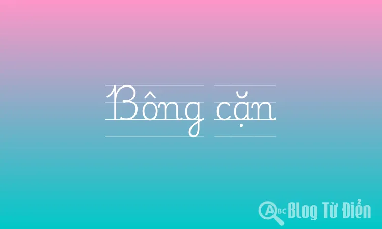 Bông cặn