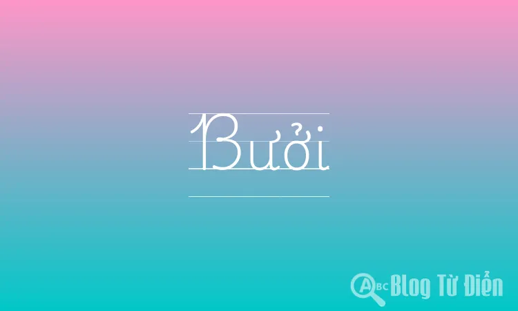 Bưởi