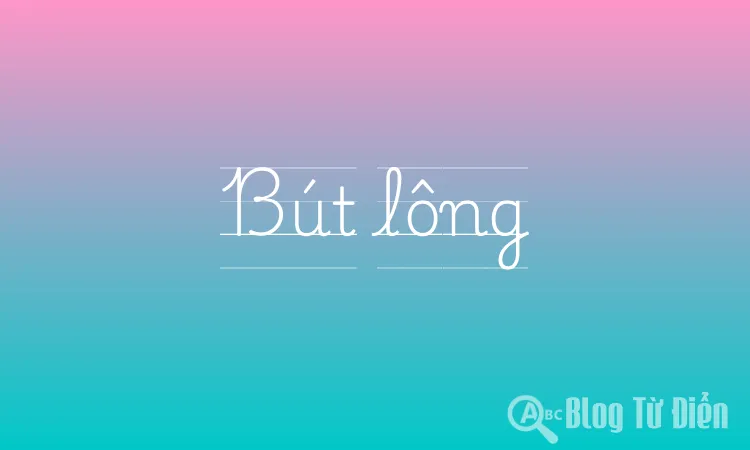 Bút lông