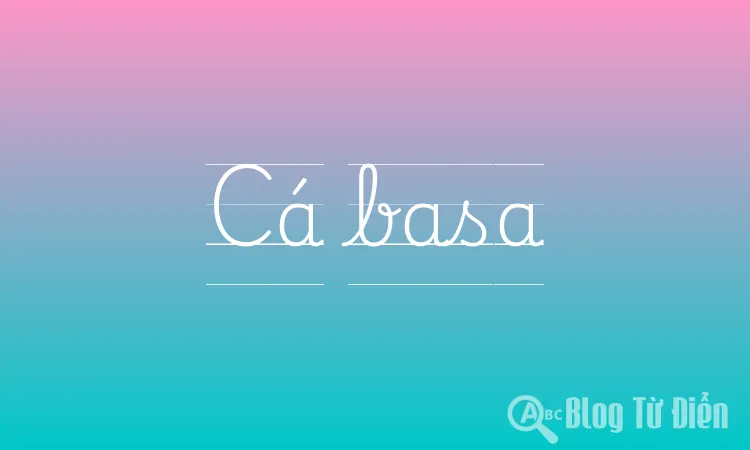 Cá basa