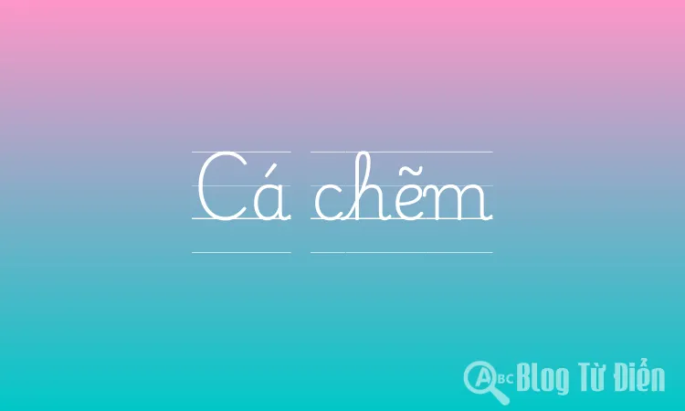 Cá chẽm