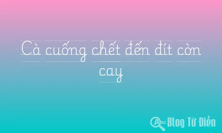 Cà cuống chết đến đít còn cay