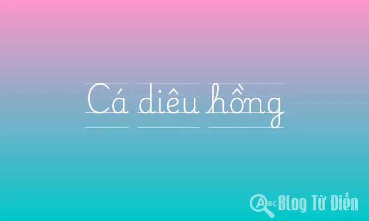 Cá diêu hồng