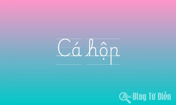 Cá hộp