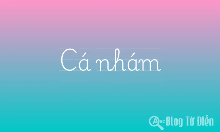 Cá nhám