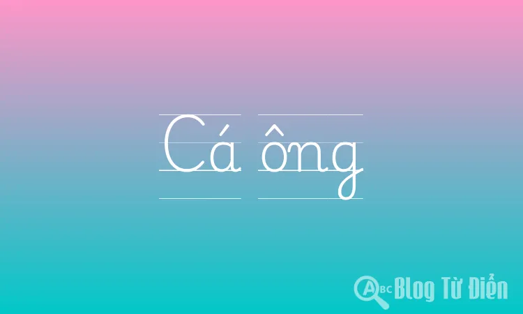 Cá ông