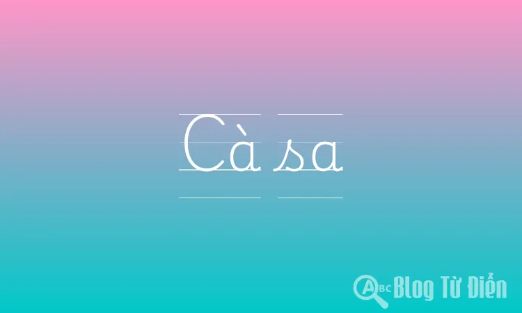 Cà sa