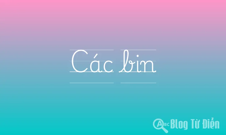 Các bin