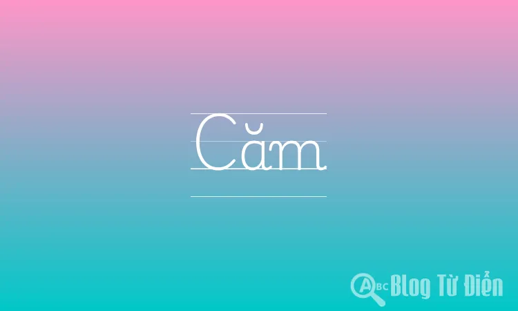 Căm