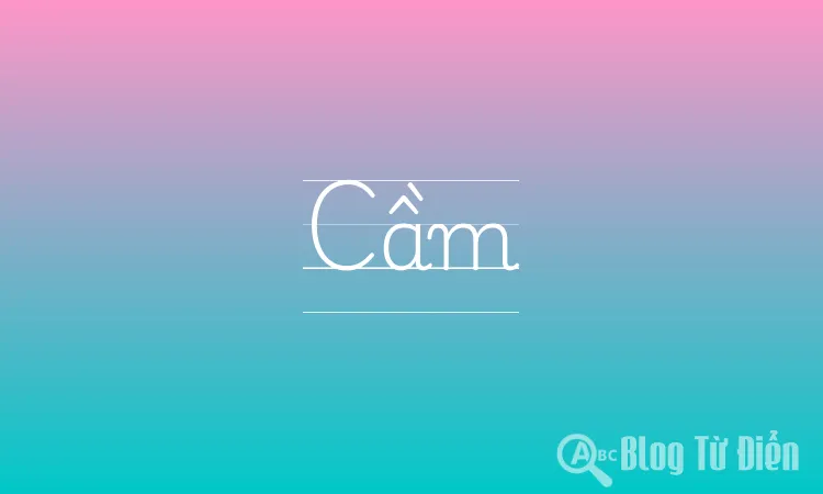 Cầm