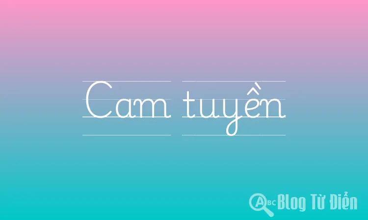 Cam tuyền