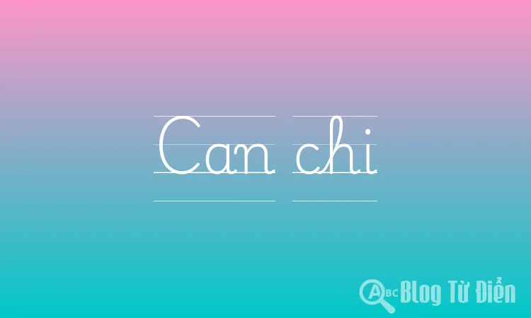 Can chi