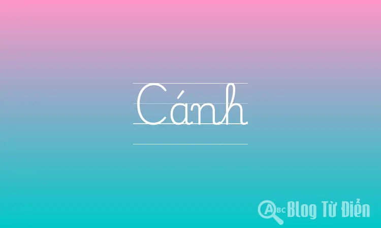 Cánh