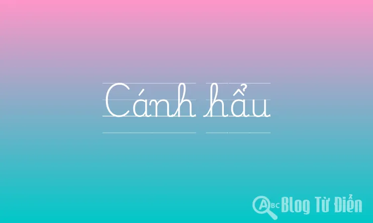 Cánh hẩu