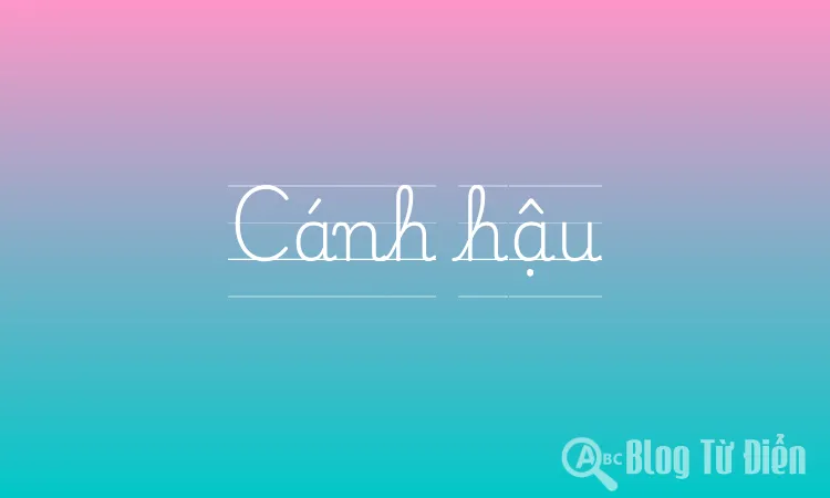 Cánh hậu
