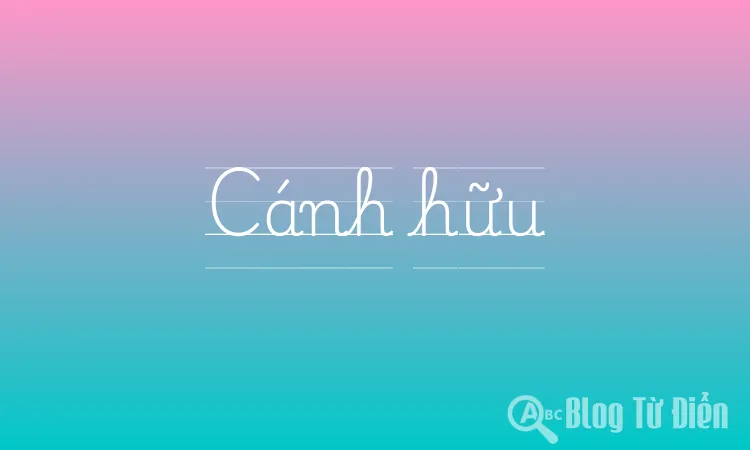 Cánh hữu