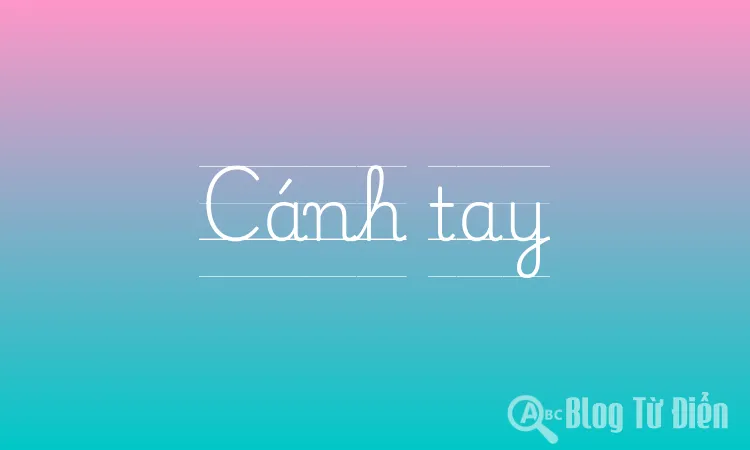 Cánh tay