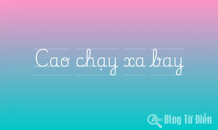 Cao chạy xa bay