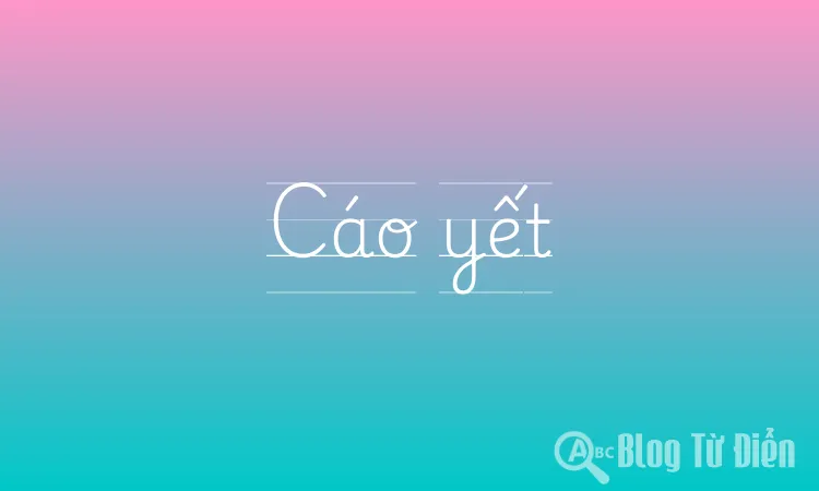 Cáo yết