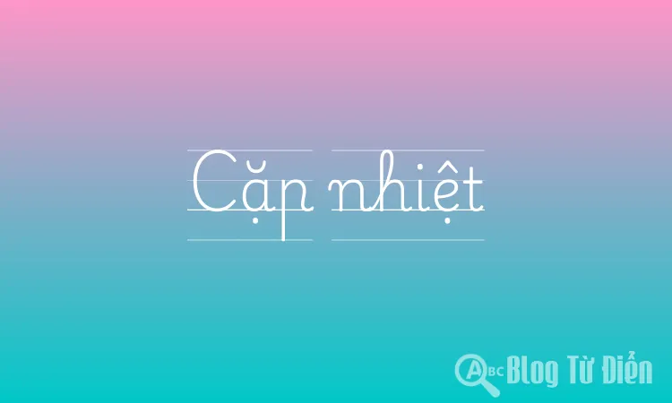 Cặp nhiệt