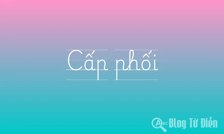 Cấp phối