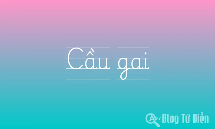 Cầu gai
