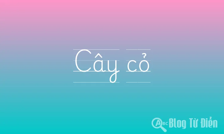 Cây cỏ