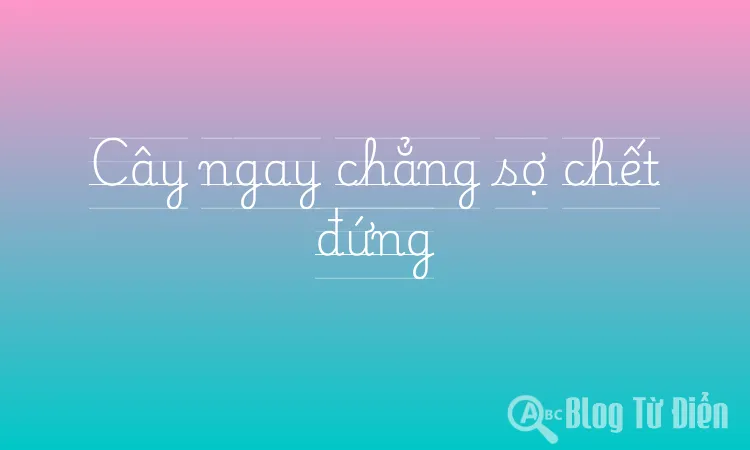 Cây ngay chẳng sợ chết đứng