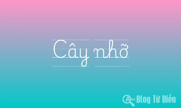 Cây nhỡ