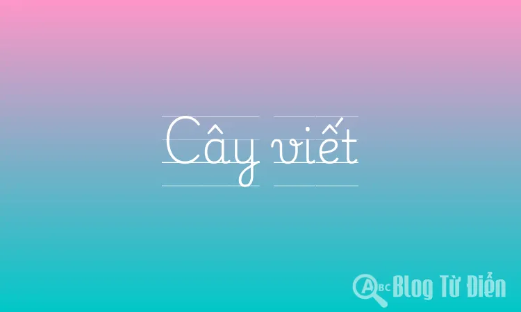 Cây viết