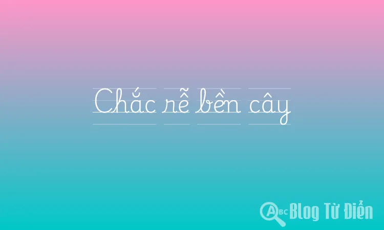 Chắc rễ bền cây