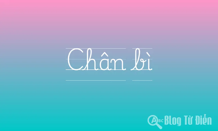 Chân bì
