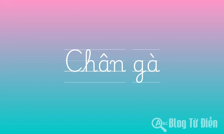 Chân gà