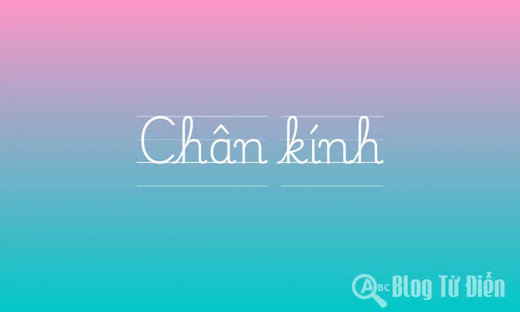 Chân kính