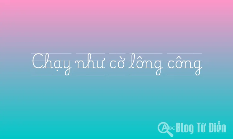 Chạy như cờ lông công