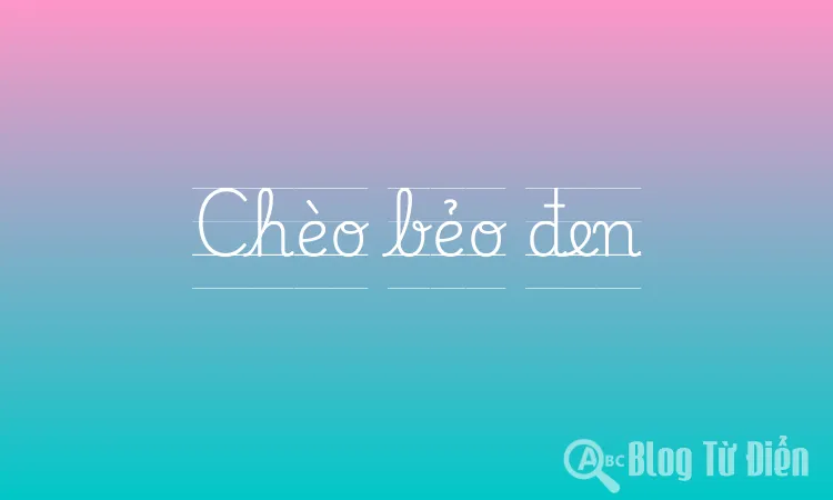 Chèo bẻo đen