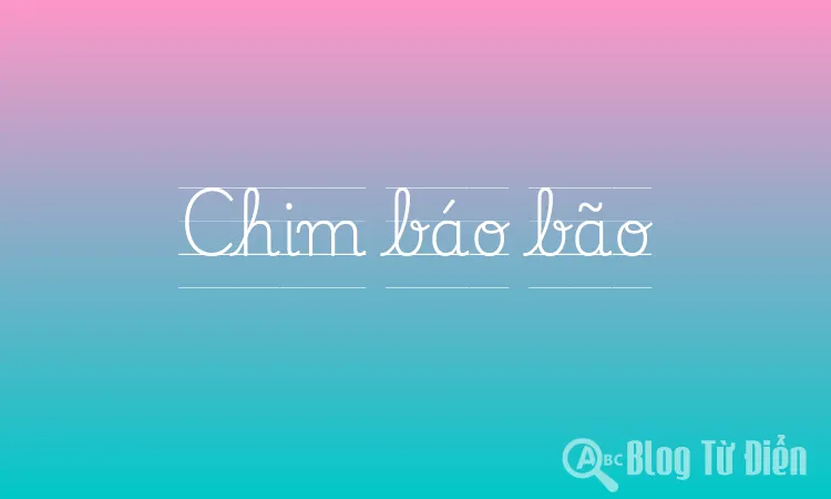 Chim báo bão