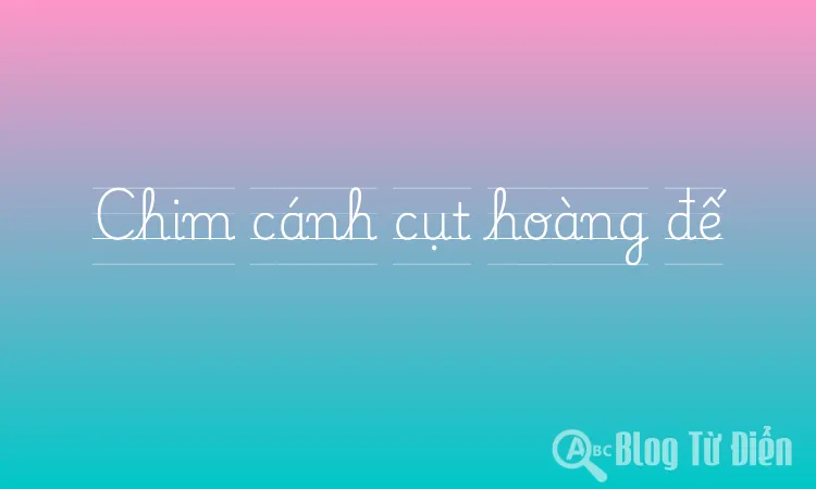 Chim cánh cụt hoàng đế