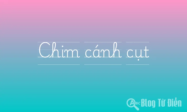 Chim cánh cụt