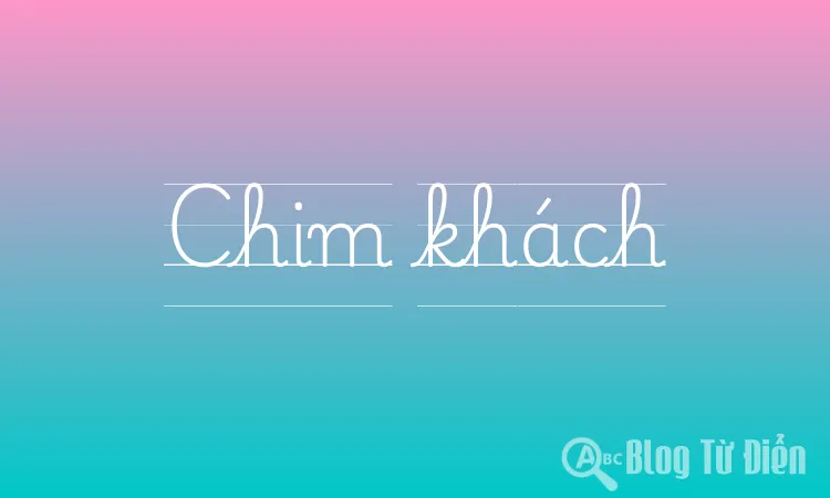 Chim khách