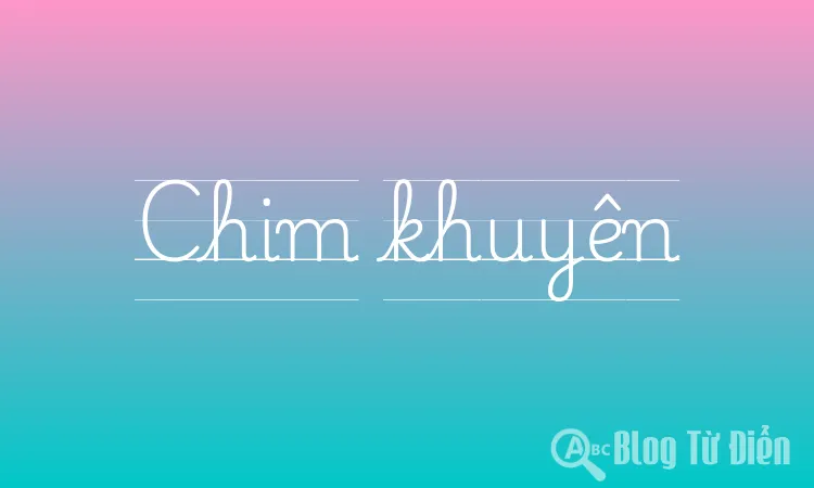 Chim khuyên