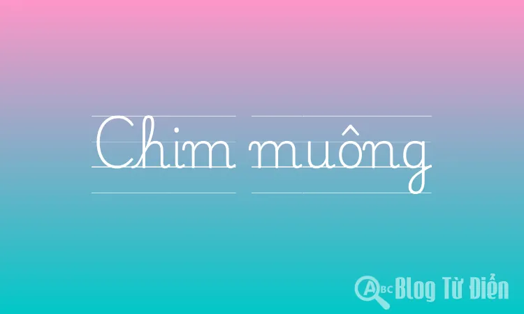 Chim muông