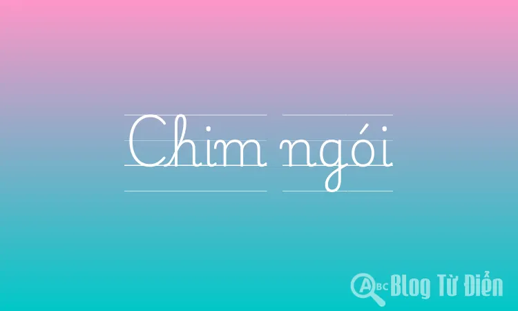 Chim ngói