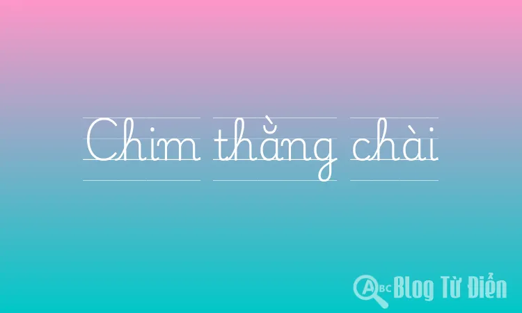 Chim thằng chài