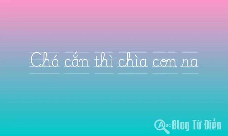 Chó cắn thì chìa con ra