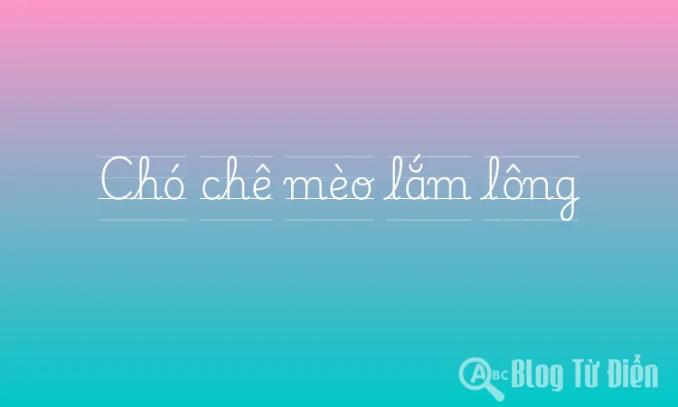 Chó chê mèo lắm lông