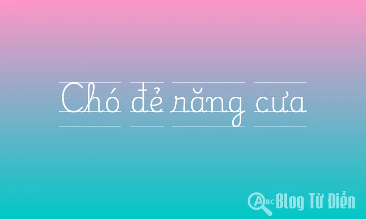 Chó đẻ răng cưa