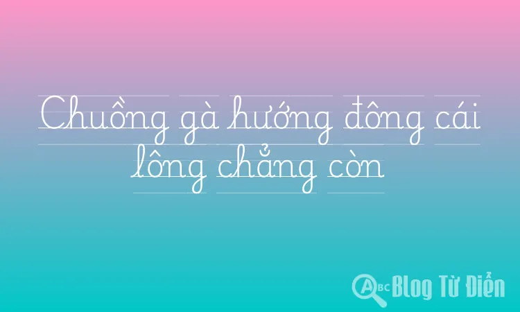 Chuồng gà hướng đông cái lông chẳng còn