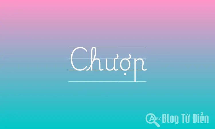 Chượp